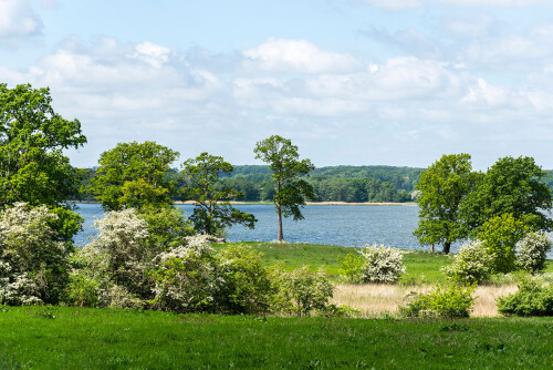 Ein See hinter Bäumen und grünem Rasen unter blauem Himmel