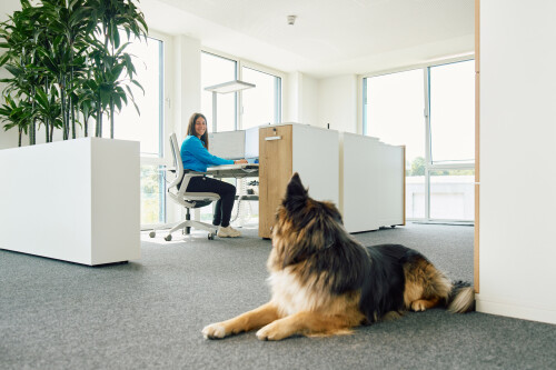 Young woman sitting at a desk with a German shepherd lying in front of her.