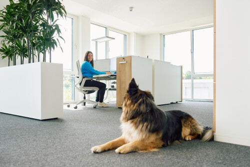 Junge Frau sitzt an einem Schreibtisch, vor ihr liegt ein Schäferhund.